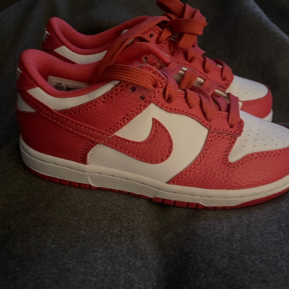 Nike dunks size 12.5